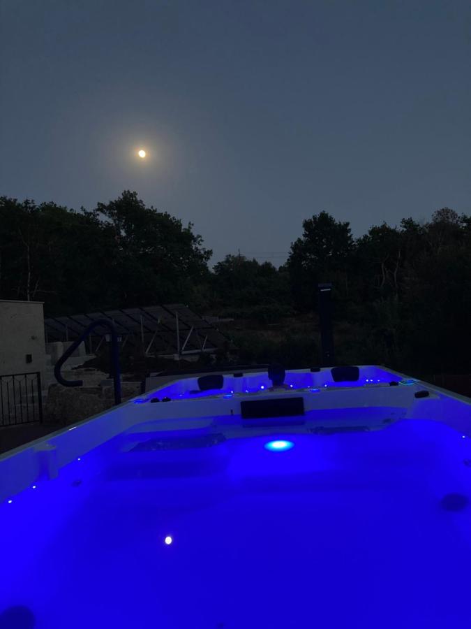 Hotel Quinta Vale De Palheiros Santa Comba Dao Zewnętrze zdjęcie