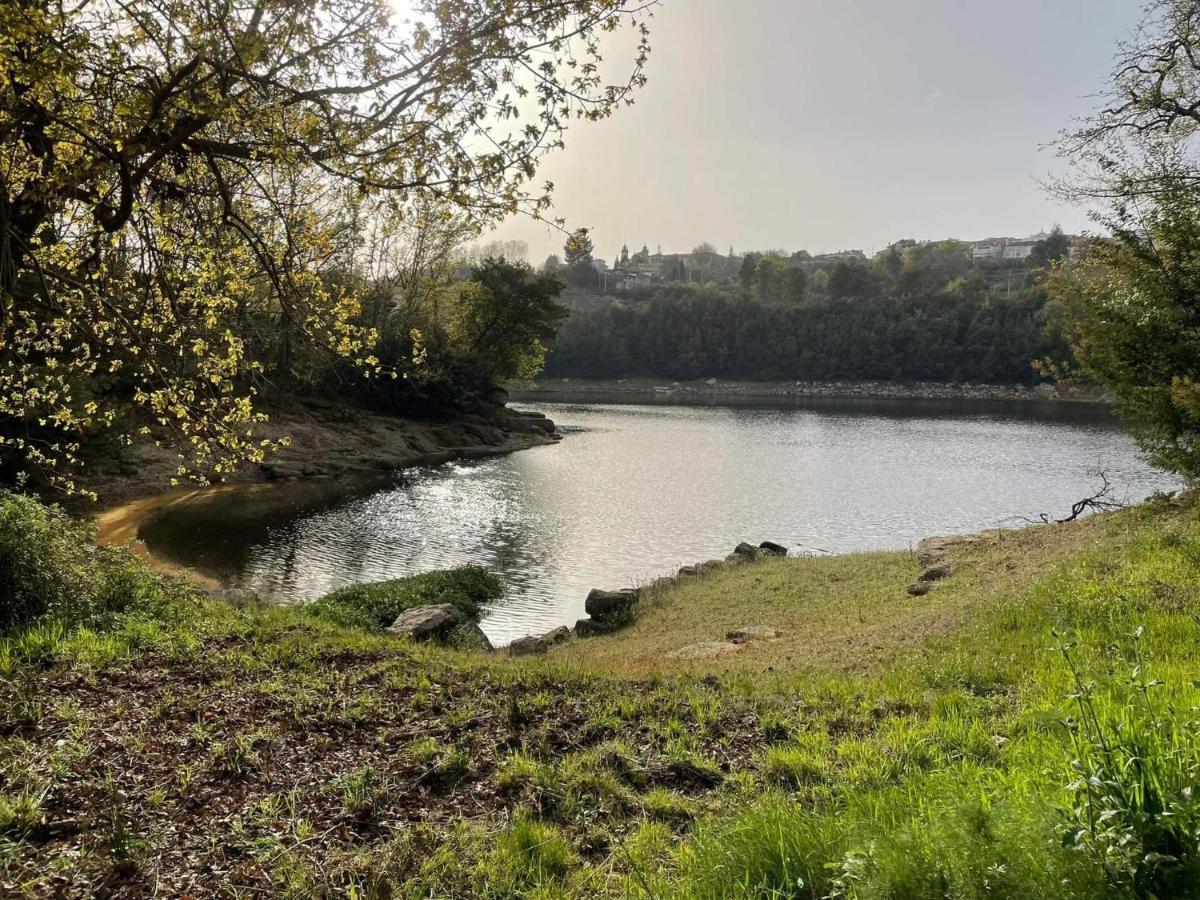 Hotel Quinta Vale De Palheiros Santa Comba Dao Zewnętrze zdjęcie