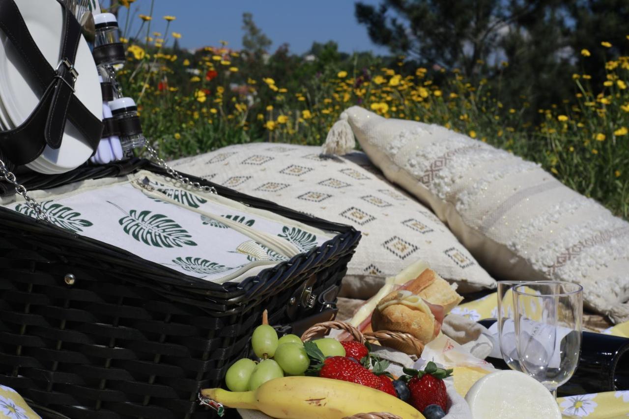 Hotel Quinta Vale De Palheiros Santa Comba Dao Zewnętrze zdjęcie