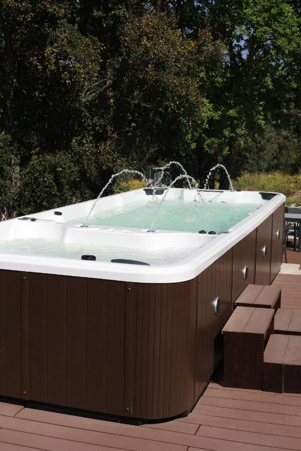 Hotel Quinta Vale De Palheiros Santa Comba Dao Zewnętrze zdjęcie